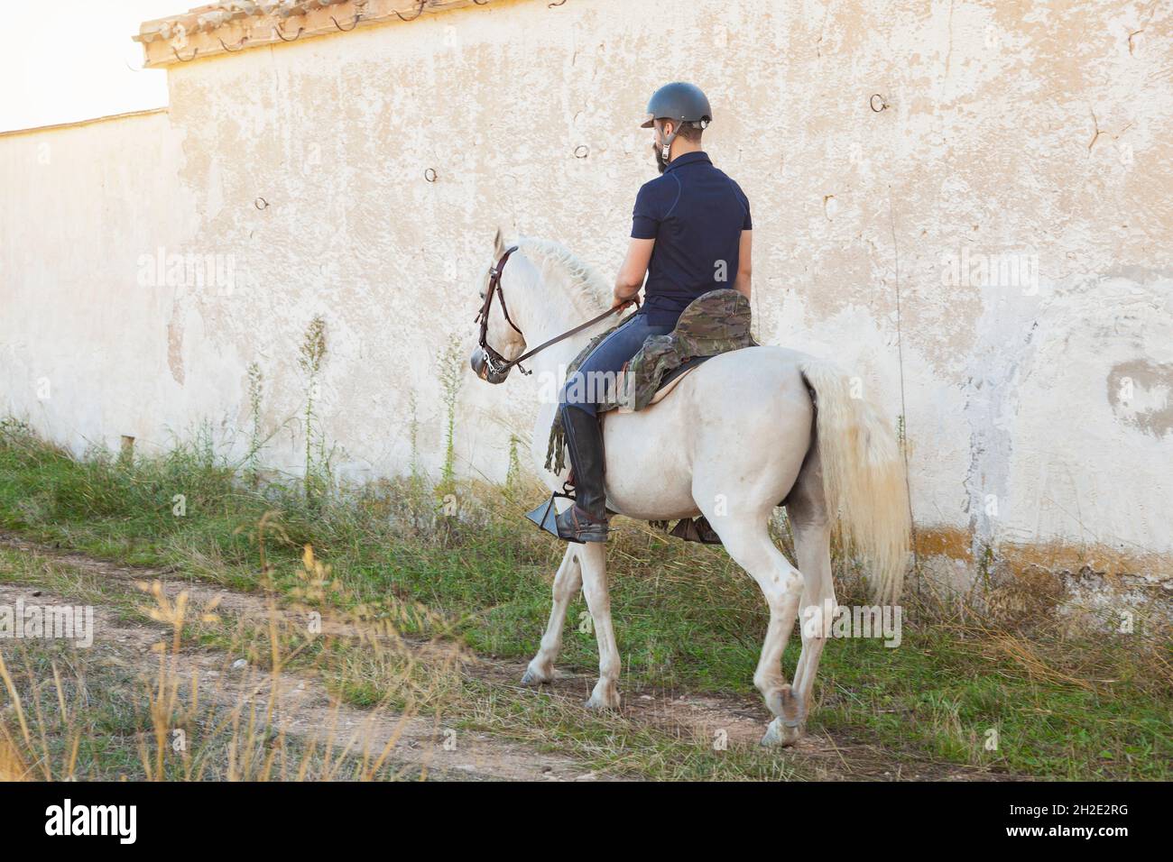 Vu de l'arrière, un homme caucasien barbu en vêtements équestres et casque monte son cheval blanc le long d'un chemin par un mur. Banque D'Images
