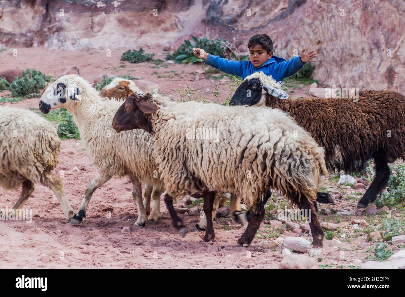 PETRA, JORDANIE - 23 MARS 2017 : garçon de berger dans la ville antique de Petra, Jordanie Banque D'Images