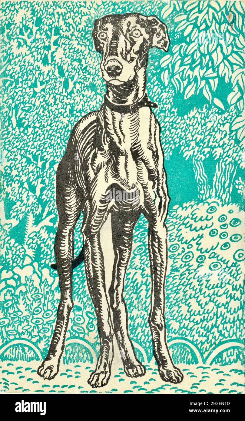 Moriz Jung Artwork - Greyhound - Wiener Werkstätte Banque D'Images