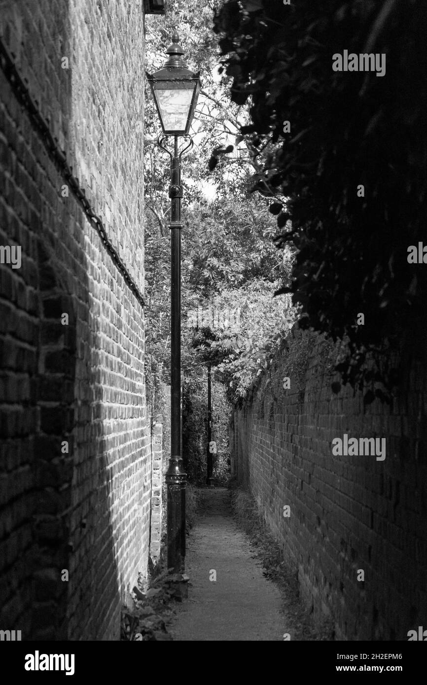 Sentier public, Petersham, London Borough of Richmond upon Thames, Greater London, Angleterre, Royaume-Uni Banque D'Images