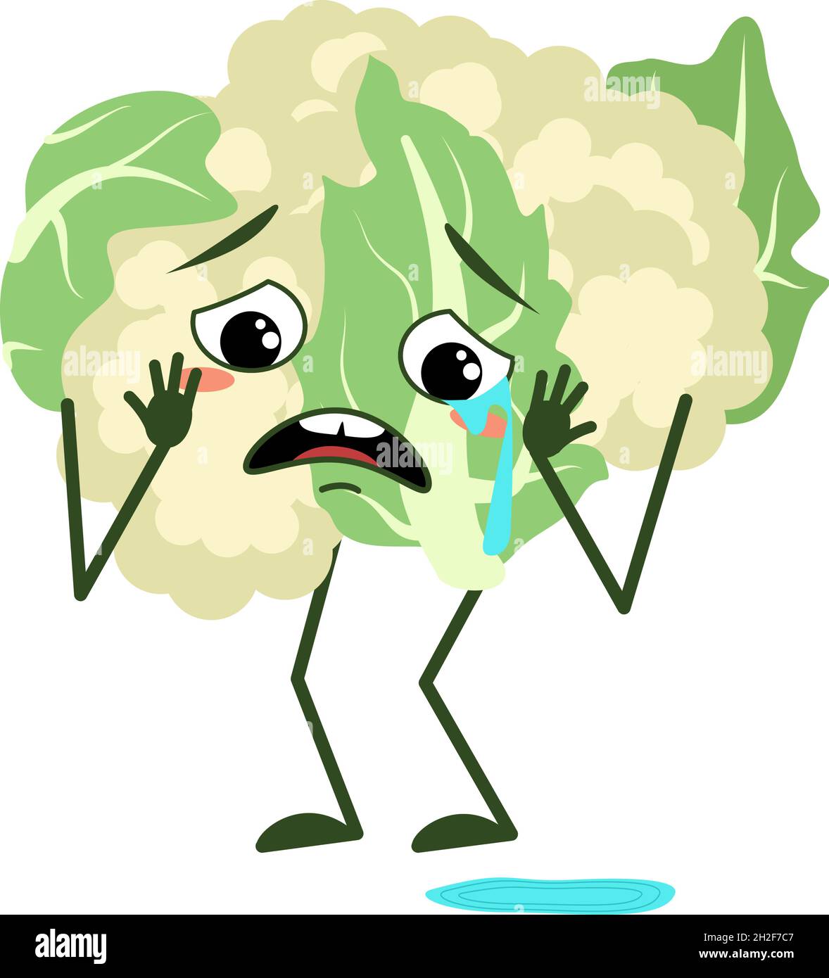 Adorable personnage de chou-fleur avec pleurs et larmes émotions, visage, bras et jambes.Le drôle ou triste héros de la nourriture verte, le chou végétal. Illustration de Vecteur