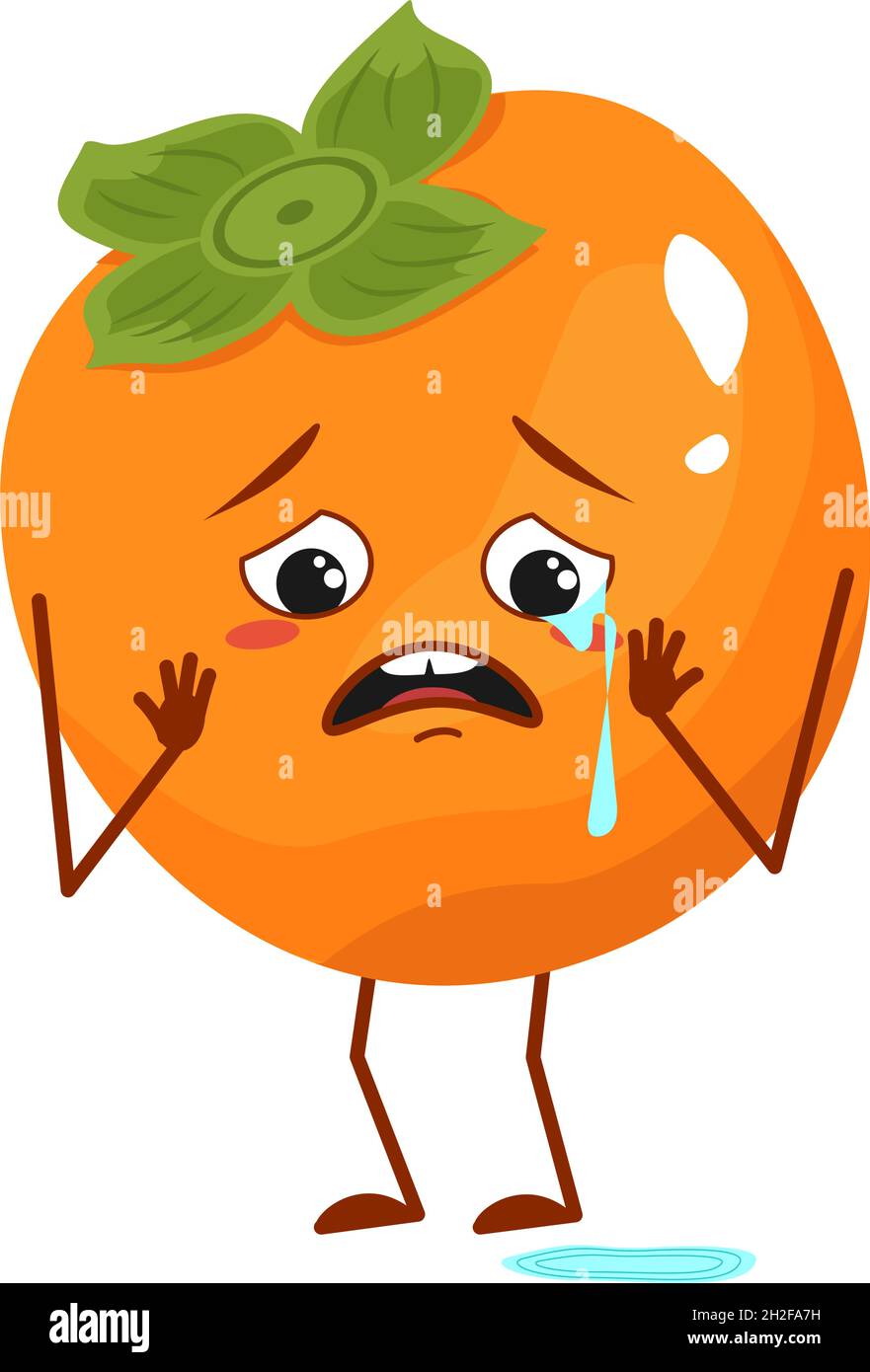 Adorable personnage persimmon avec des pleurs et des larmes, des émotions, le visage, les bras et les jambes.Le drôle ou triste héros, fruit.Illustration vectorielle plate Illustration de Vecteur