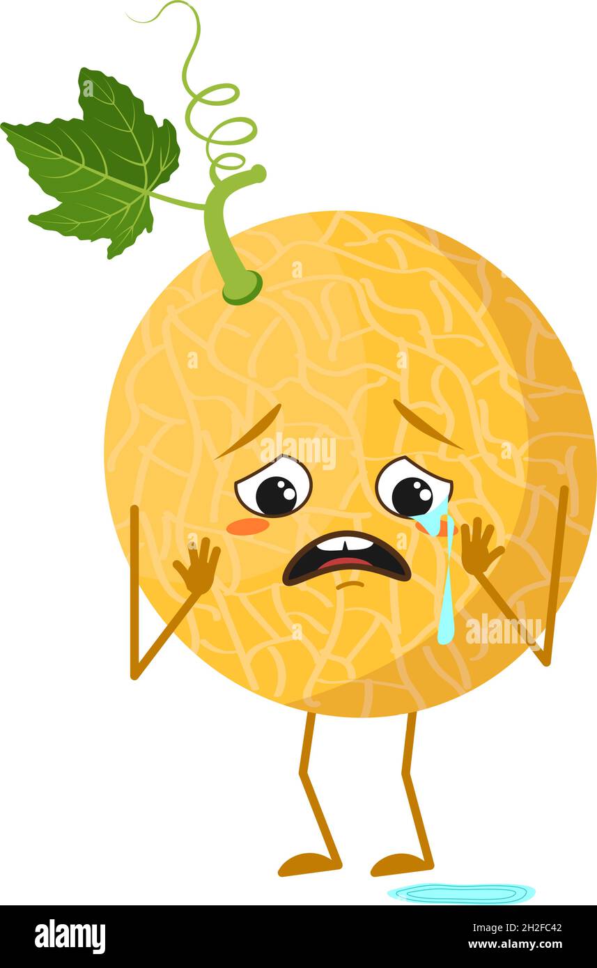 Mignon melon caractère avec pleurs et larmes émotions, visage, bras et jambes.Le drôle ou triste héros, fruit.Illustration vectorielle plate Illustration de Vecteur