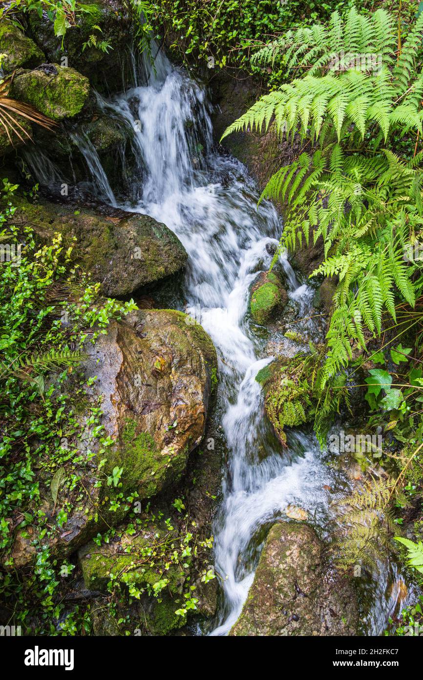 Petite chute d'eau au parc régional de Rainbow Springs - Dunnellon, Floride, États-Unis Banque D'Images