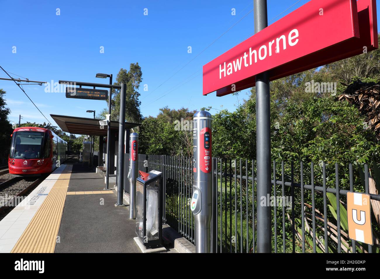 Station Hawthorne Light Rail à Leichhardt, Sydney, Nouvelle-Galles du Sud, Australie Banque D'Images
