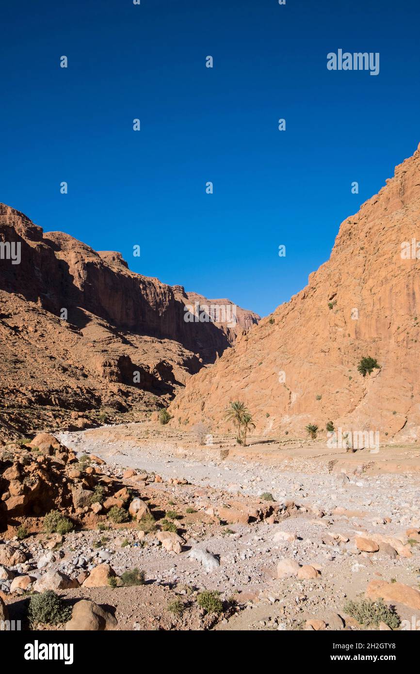 Maroc, gorges de Todra Banque D'Images