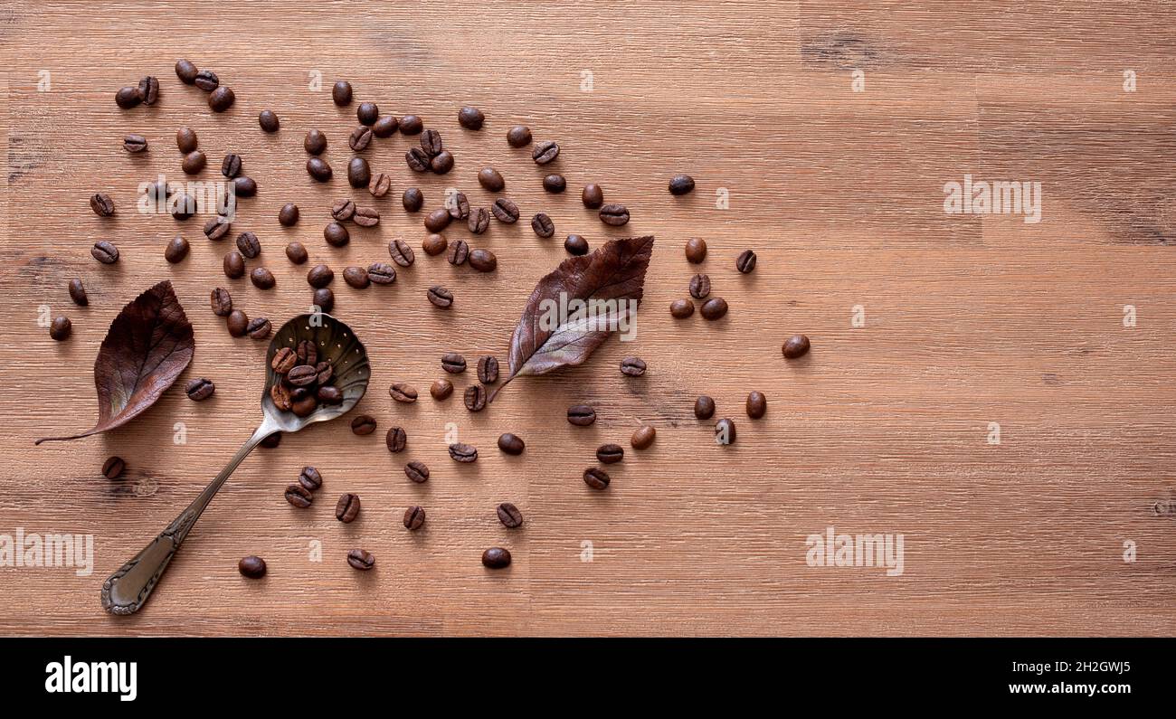 Cuillère à café sur fond de table en bois avec grains de café et feuilles brunes. Banque D'Images