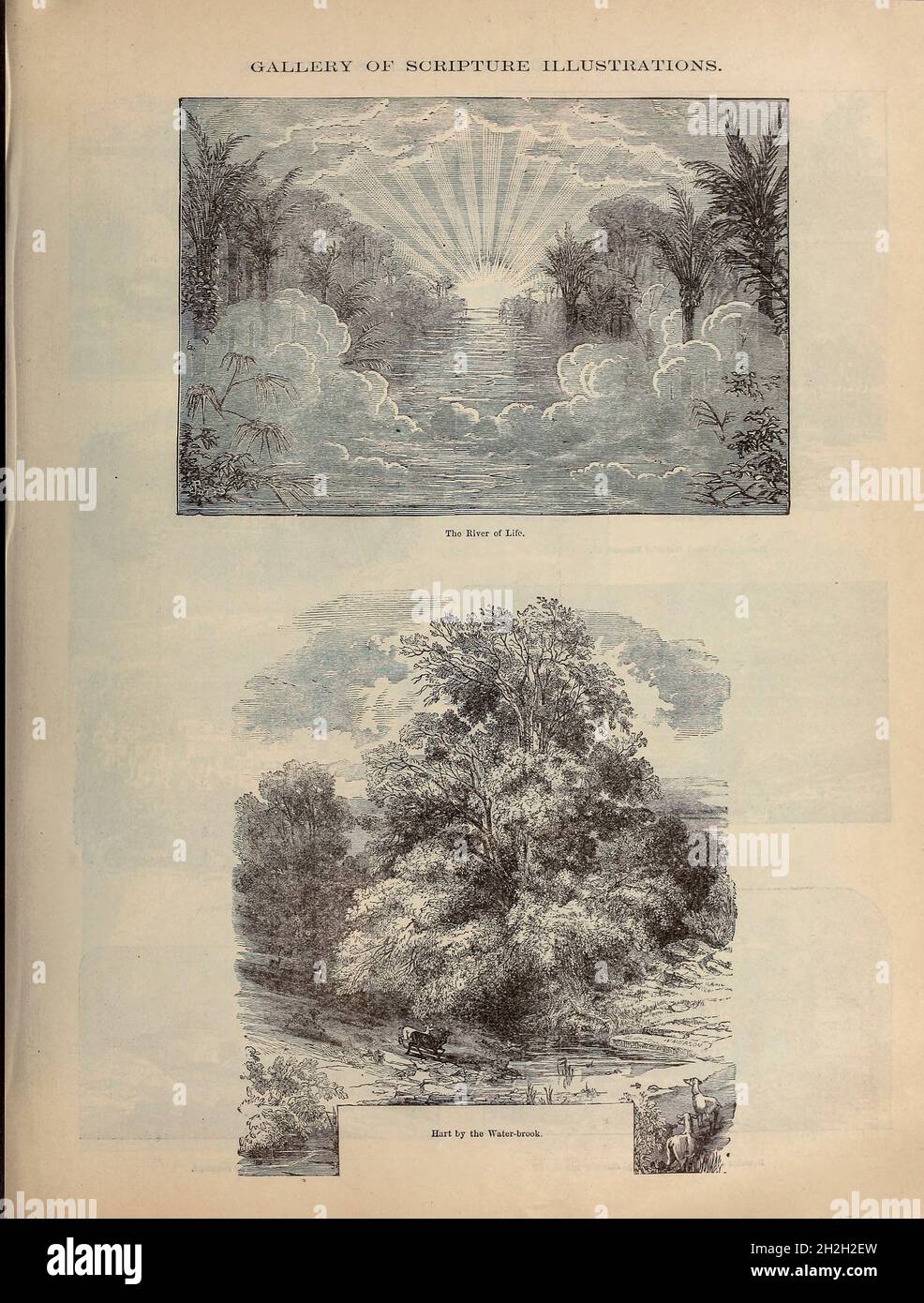 Galerie des illustrations de l'écriture de la Bible de la famille doré contenant l'ancien et le Nouveau Testament, les Apocryphes ornés de gravures, d'illustrations et de la Galerie de la Bible de Dore.Publié à Philadelphie par William T. amies en 1883 Banque D'Images