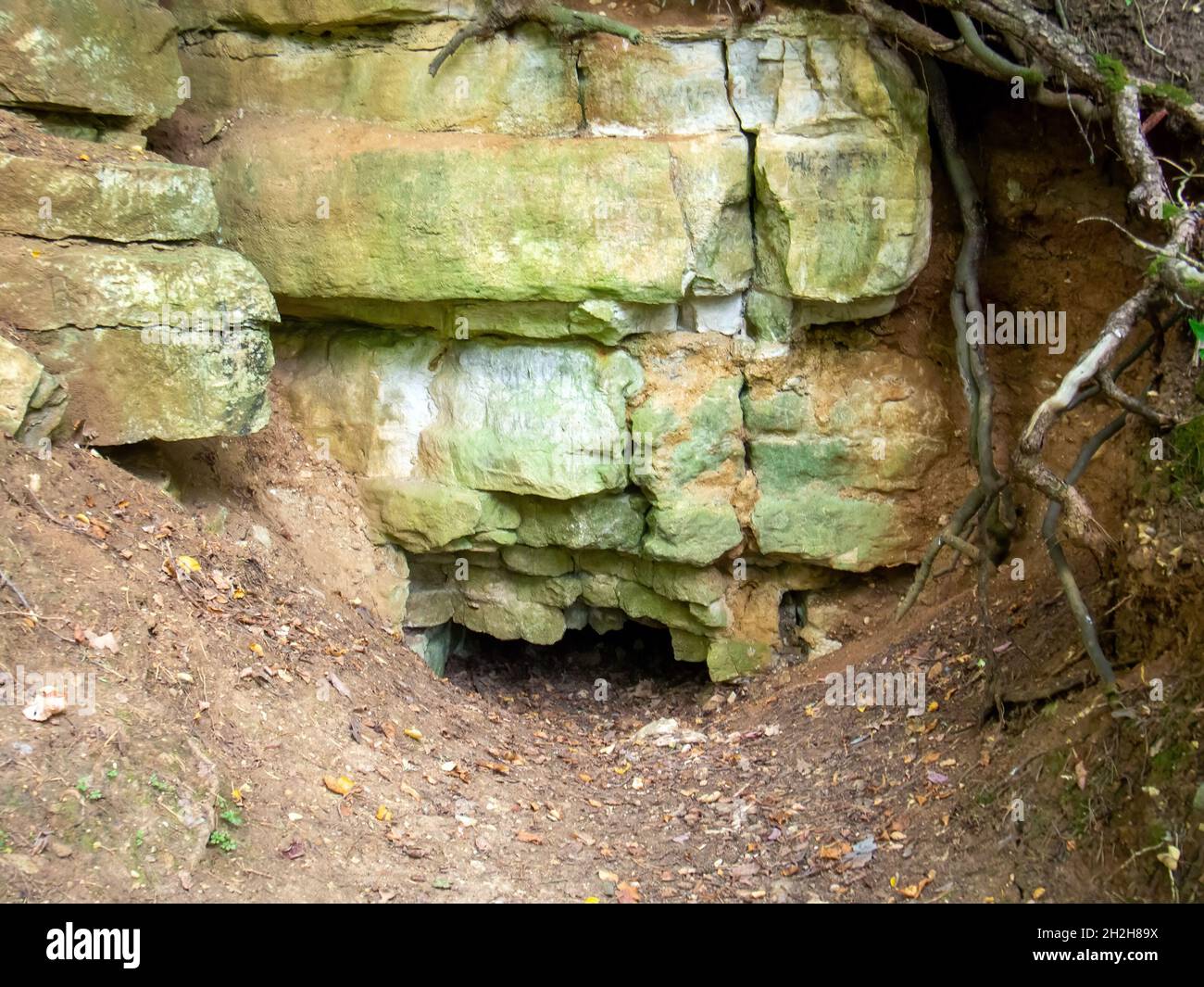 entrée à une petite grotte, en été Banque D'Images