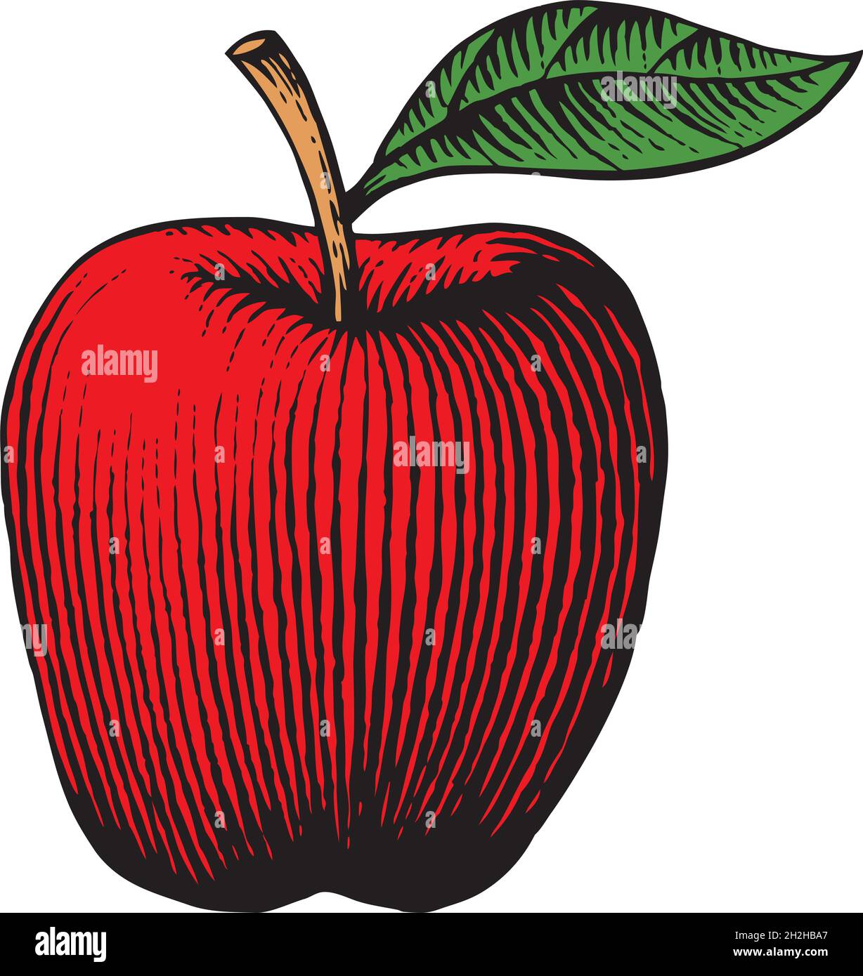 Apple - illustration vectorielle gravée vintage Illustration de Vecteur