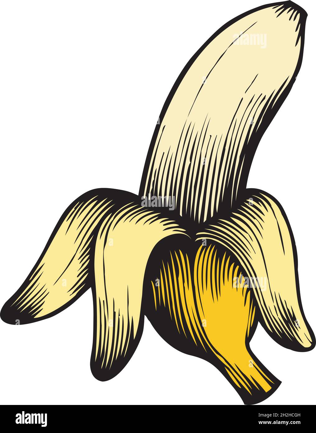 Banane ouverte - illustration vectorielle gravée vintage Illustration de Vecteur
