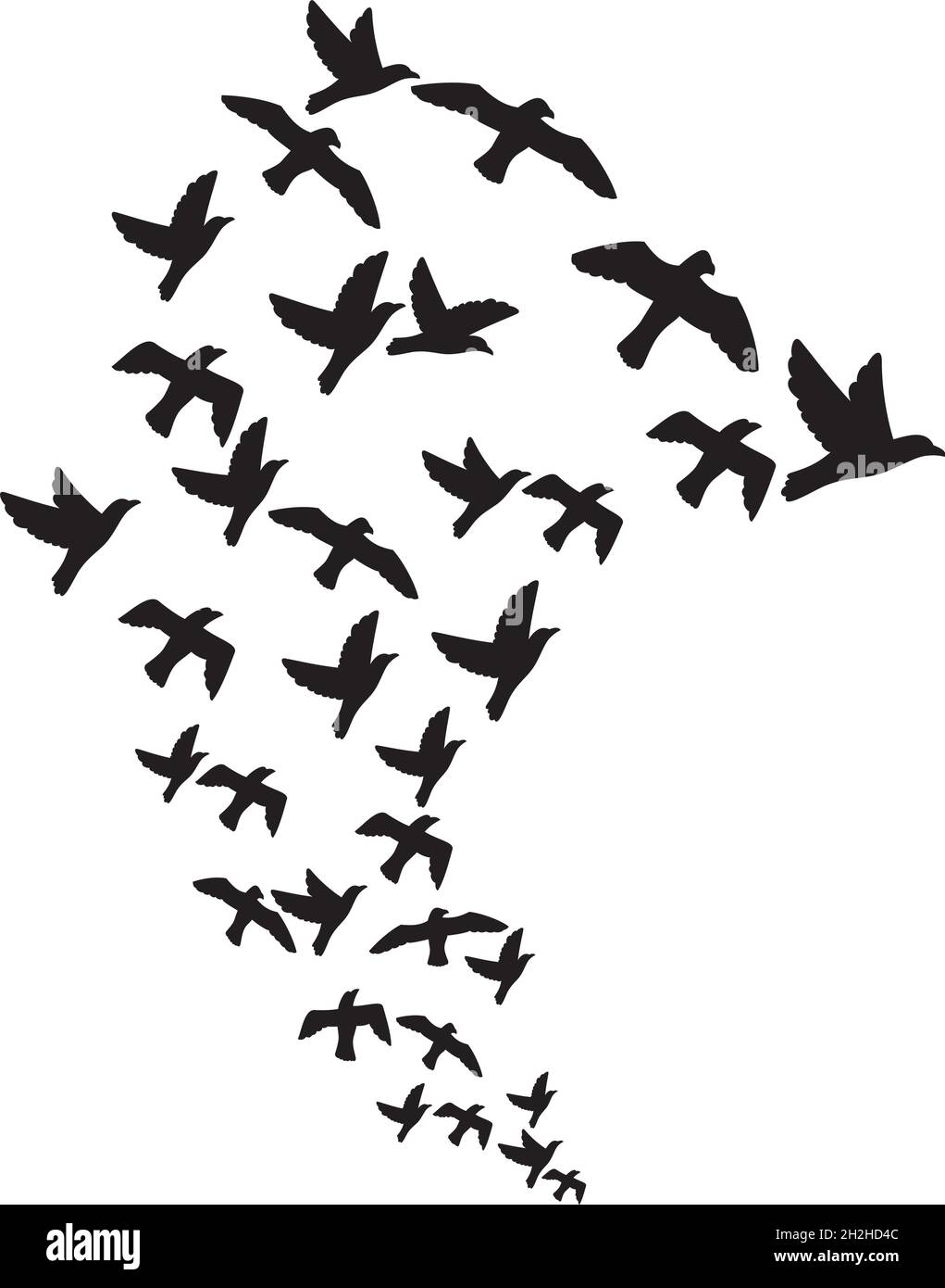 Illustration vectorielle d'un troupeau d'oiseaux volants Illustration de Vecteur