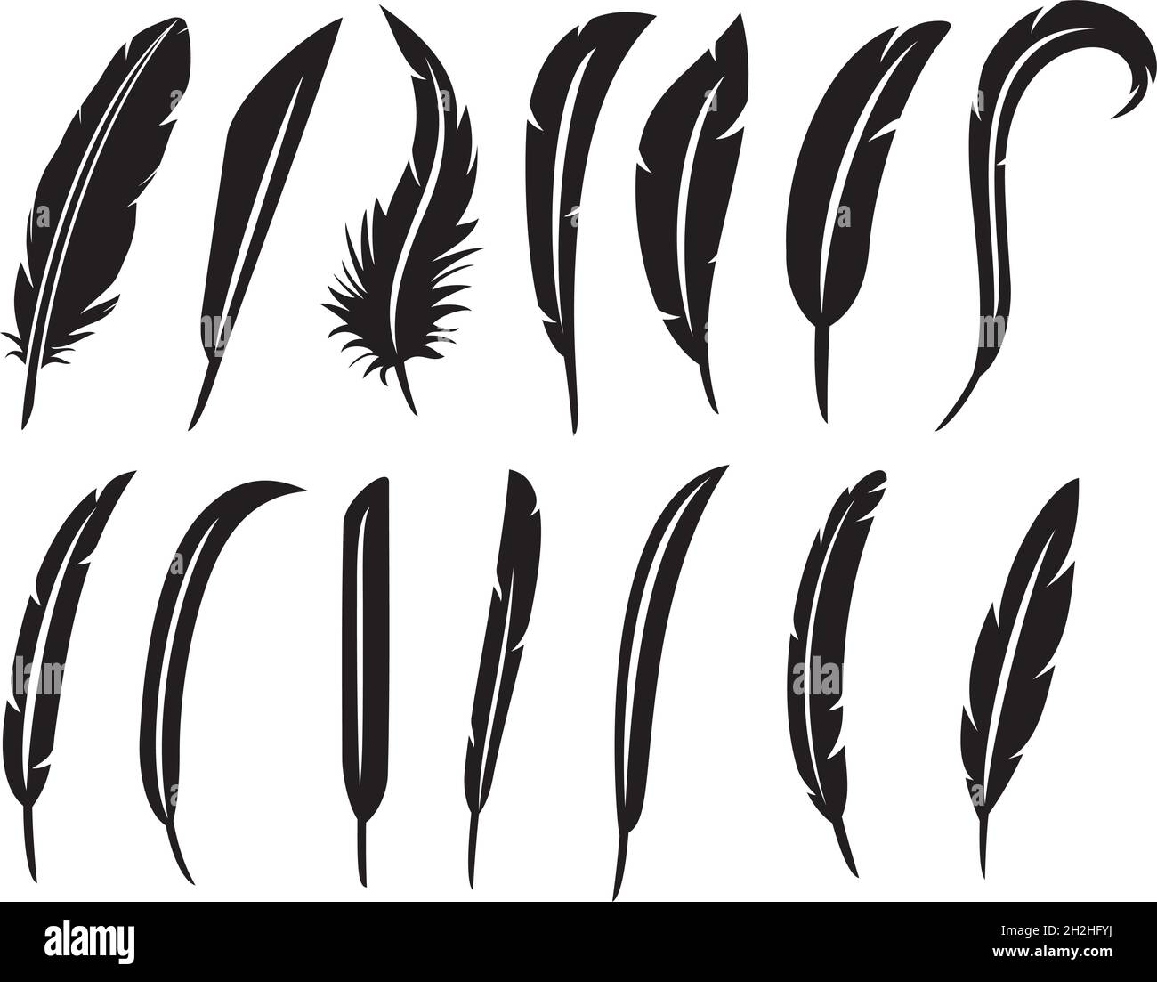 Collection d'illustrations vectorielles de plumes Illustration de Vecteur