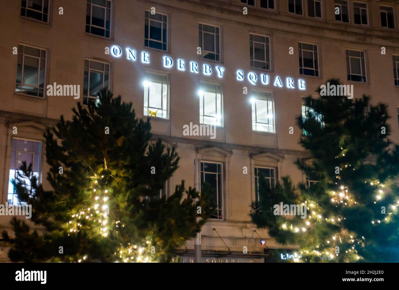 Un Derby Square arbres avec lumières de vacances à Liverpool Banque D'Images