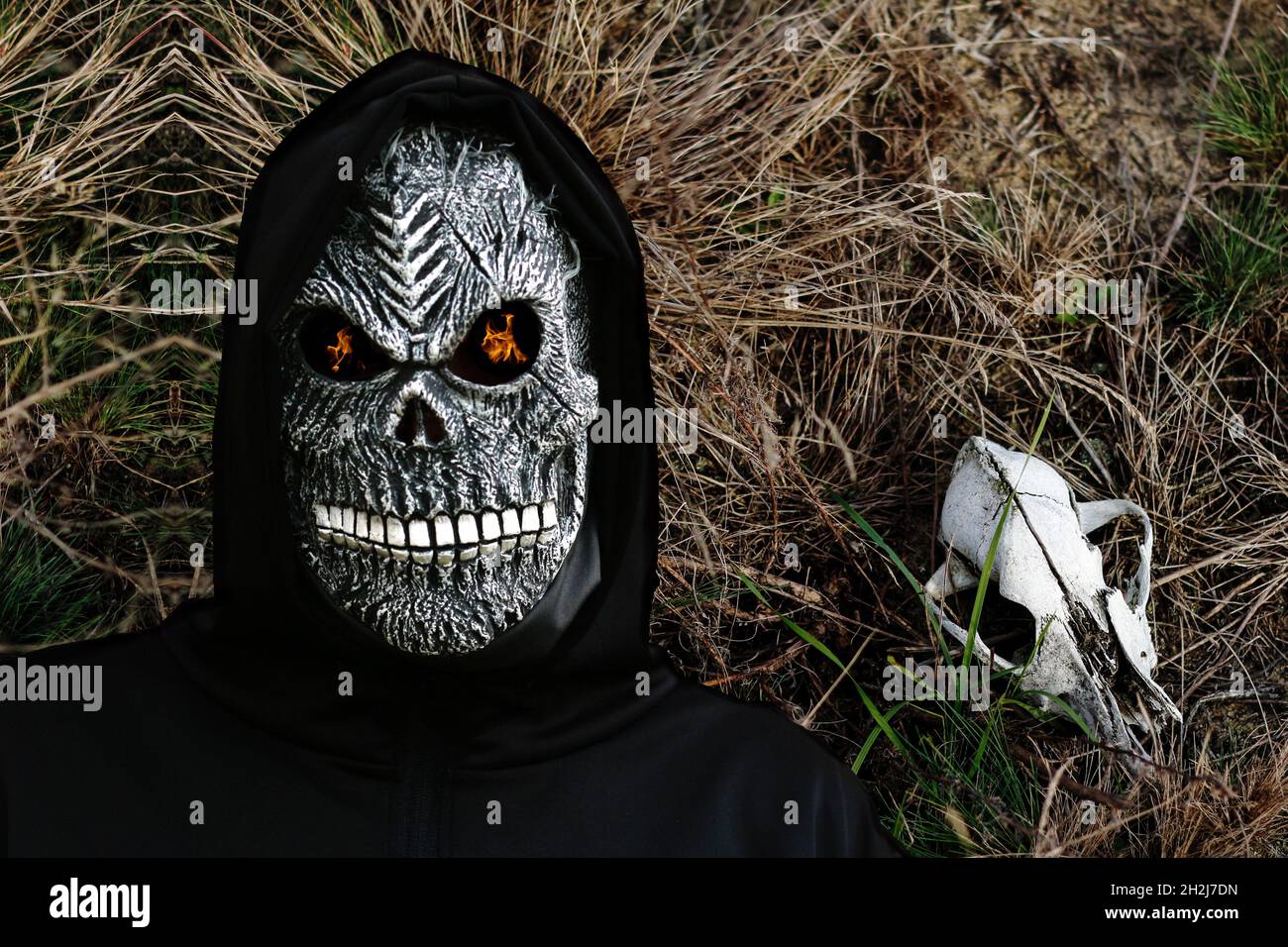 Gros plan de la couche sinistre.Homme dans le masque de la mort avec une flamme de feu dans les yeux sur l'herbe sombre et sèche avec le fond du crâne animal.Costume de carnaval, créepy t Banque D'Images