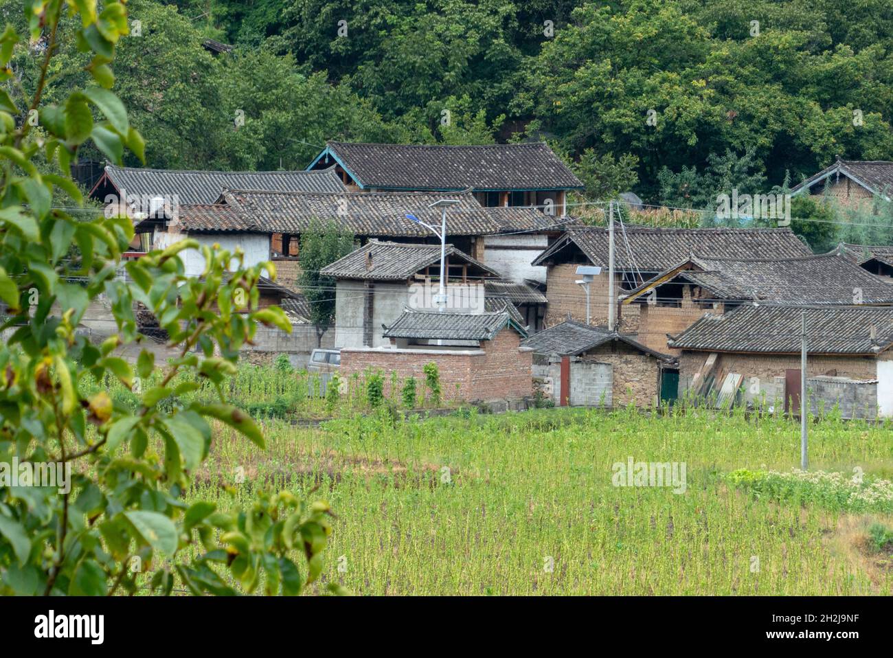 Ville traditionnelle de Shigu, Yulong County, Yunnan, Chine Banque D'Images