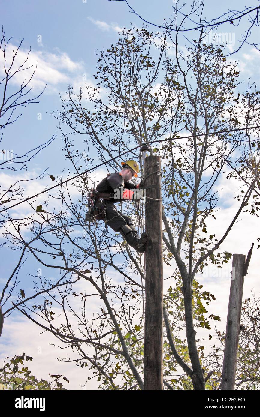 Travailleur de l'utilitaire de ligne électrique fixation après l'ouragan Sandy Stony Brook Long Island New York Banque D'Images