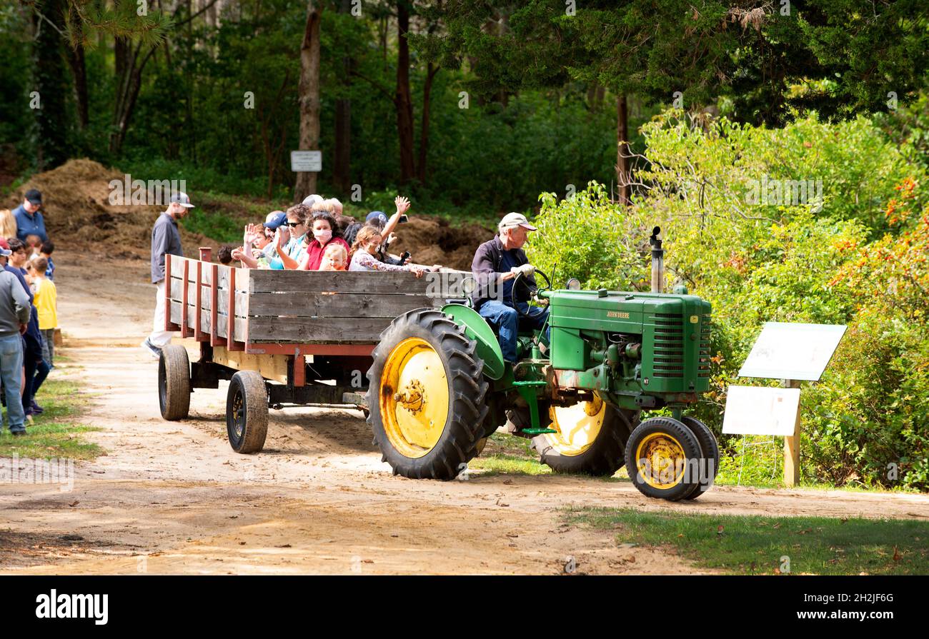 Une promenade à cheval sur la ferme Taylor Bray lors de leur festival d'automne.Port de Yarmouth, Massachusetts, États-Unis Banque D'Images