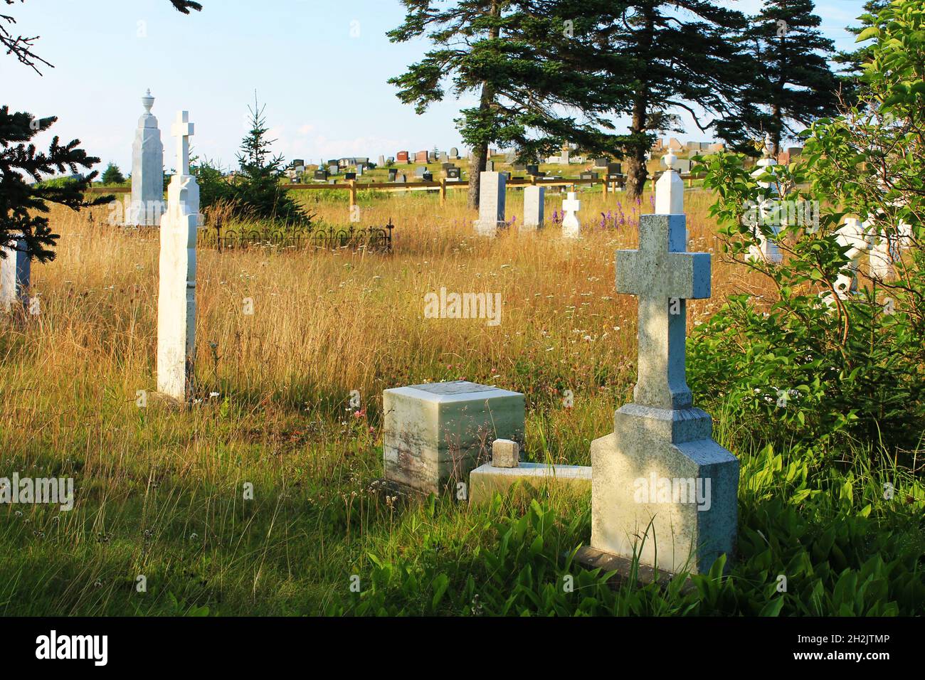 Un ancien cimetière, surcultivé et abandonné, de l'autre côté de la rue, d'un nouveau cimetière bien entretenu. Banque D'Images