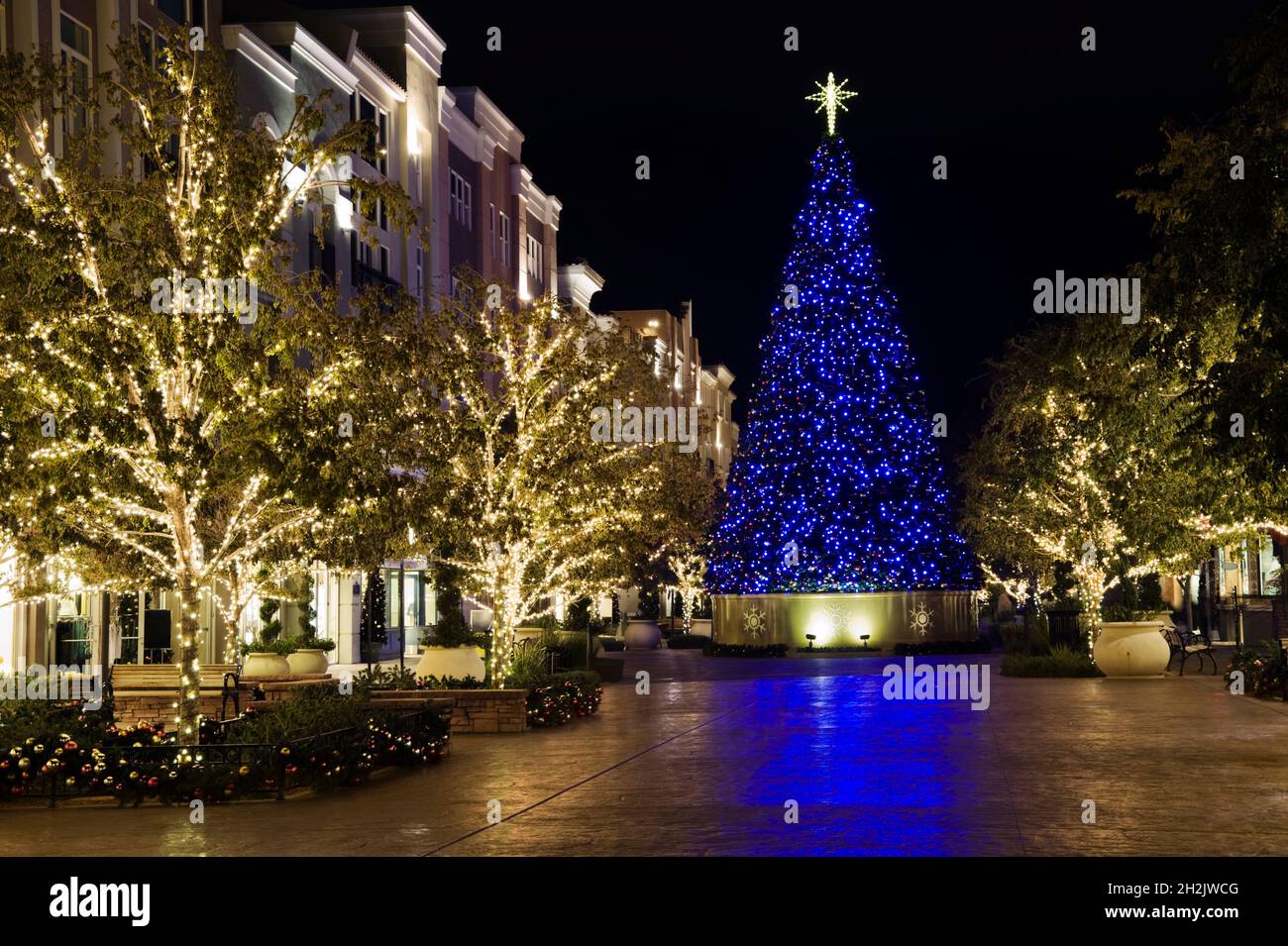 Arbre de Noël avec allée festive bien éclairée Banque D'Images