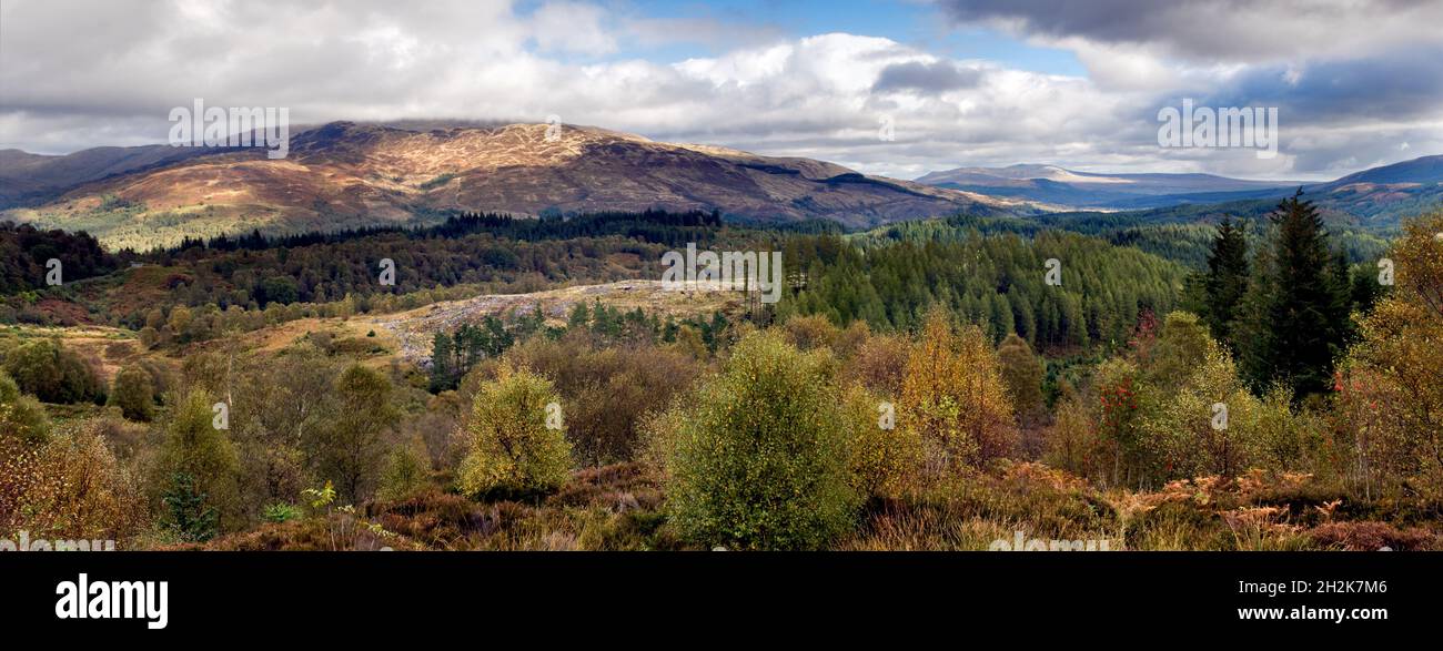 Parc forestier de la Reine Elizabeth, région de la forêt d'Achray qui se trouve sur les collines de la Mdixième, les Trossachs, en Écosse, prises près d'AberDoyle de l'A821 tôt Banque D'Images
