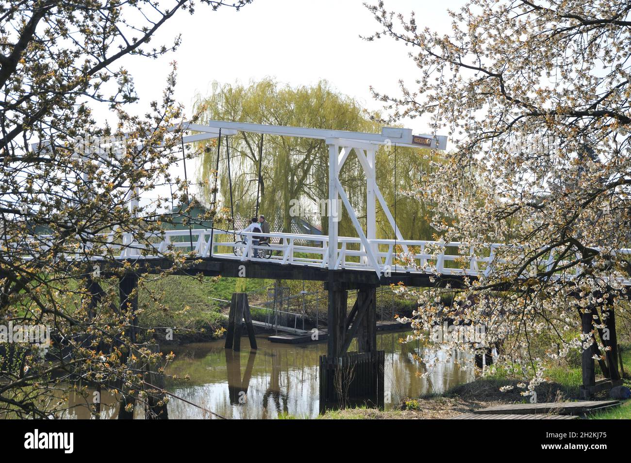 Hogendiekbrücke Fußgängerbrücke, über die Lühe, Steinkirchen, Landkreis Stade, Allemagne Banque D'Images