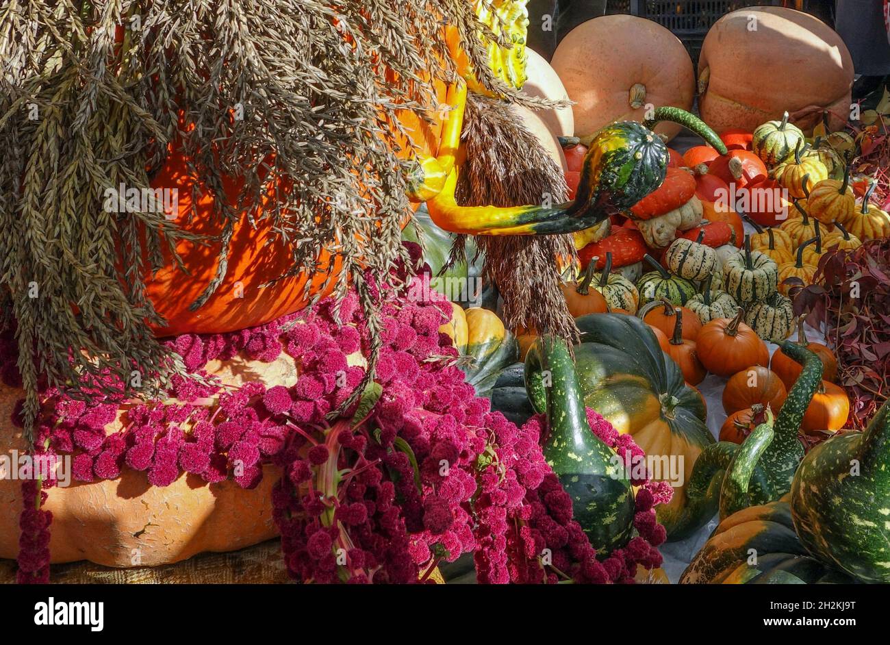 Légumes sur le marché en automne Banque D'Images