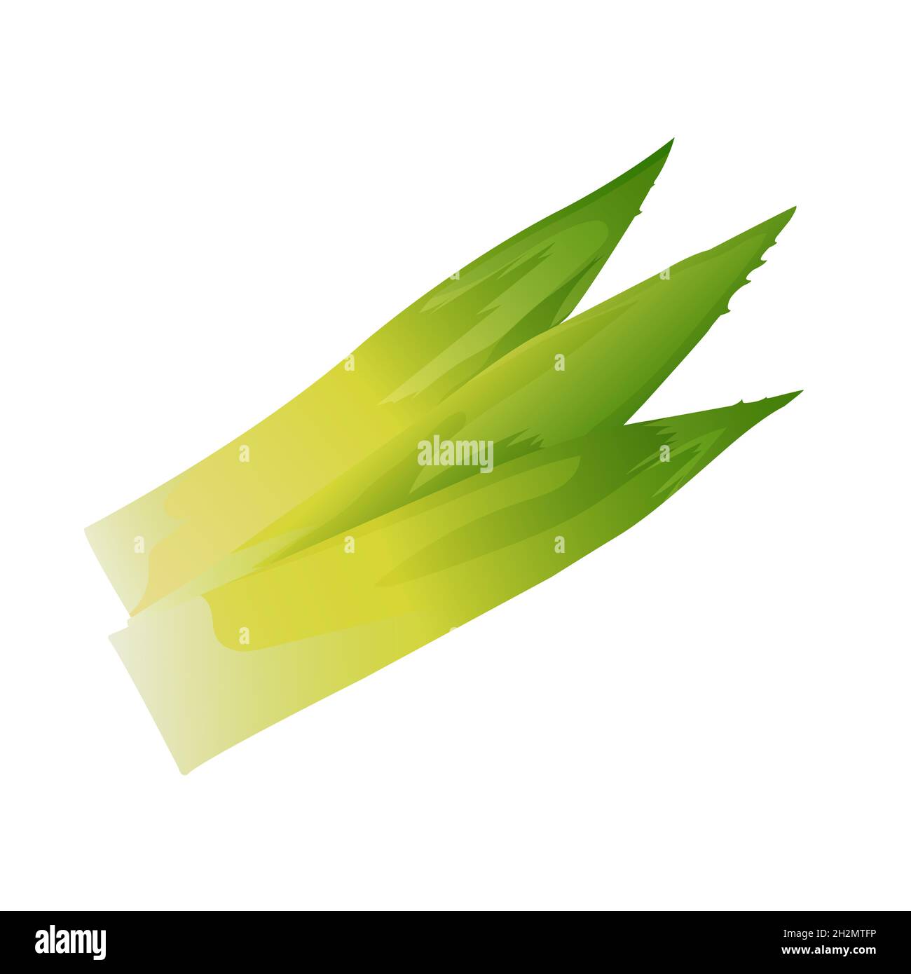 feuilles d'ananas isolées sur fond blanc Banque D'Images