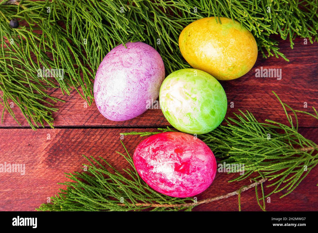 Quatre œufs de pâques multicolores et branche de thuya sur une terrasse en bois rouge Banque D'Images