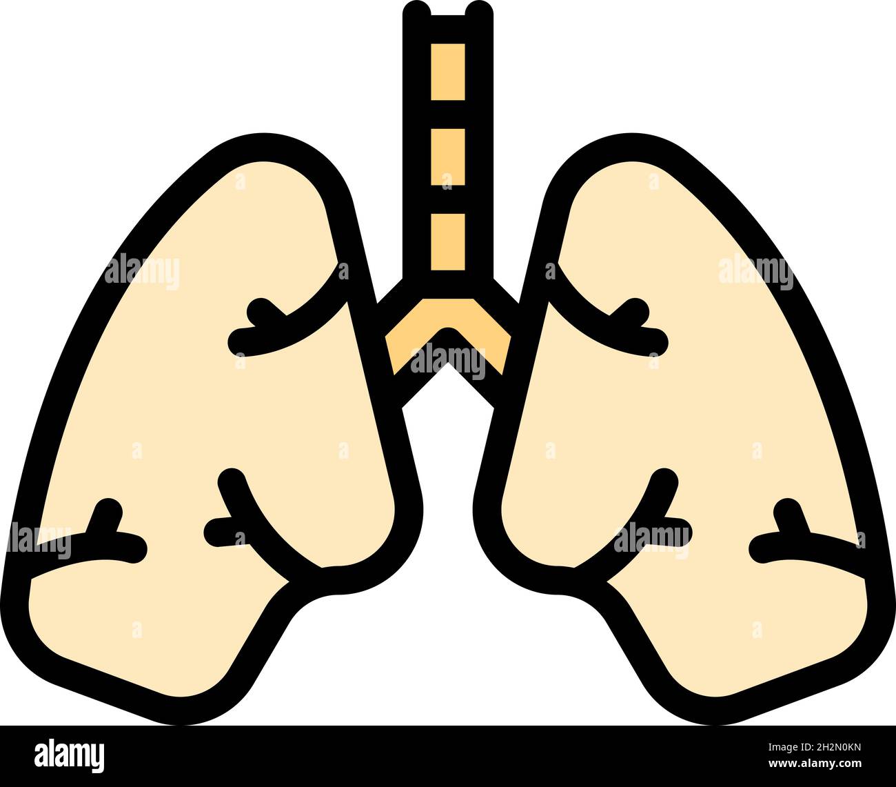 Icône poumons humains. Contour poumons humains vecteur icône couleur plat isolé Illustration de Vecteur