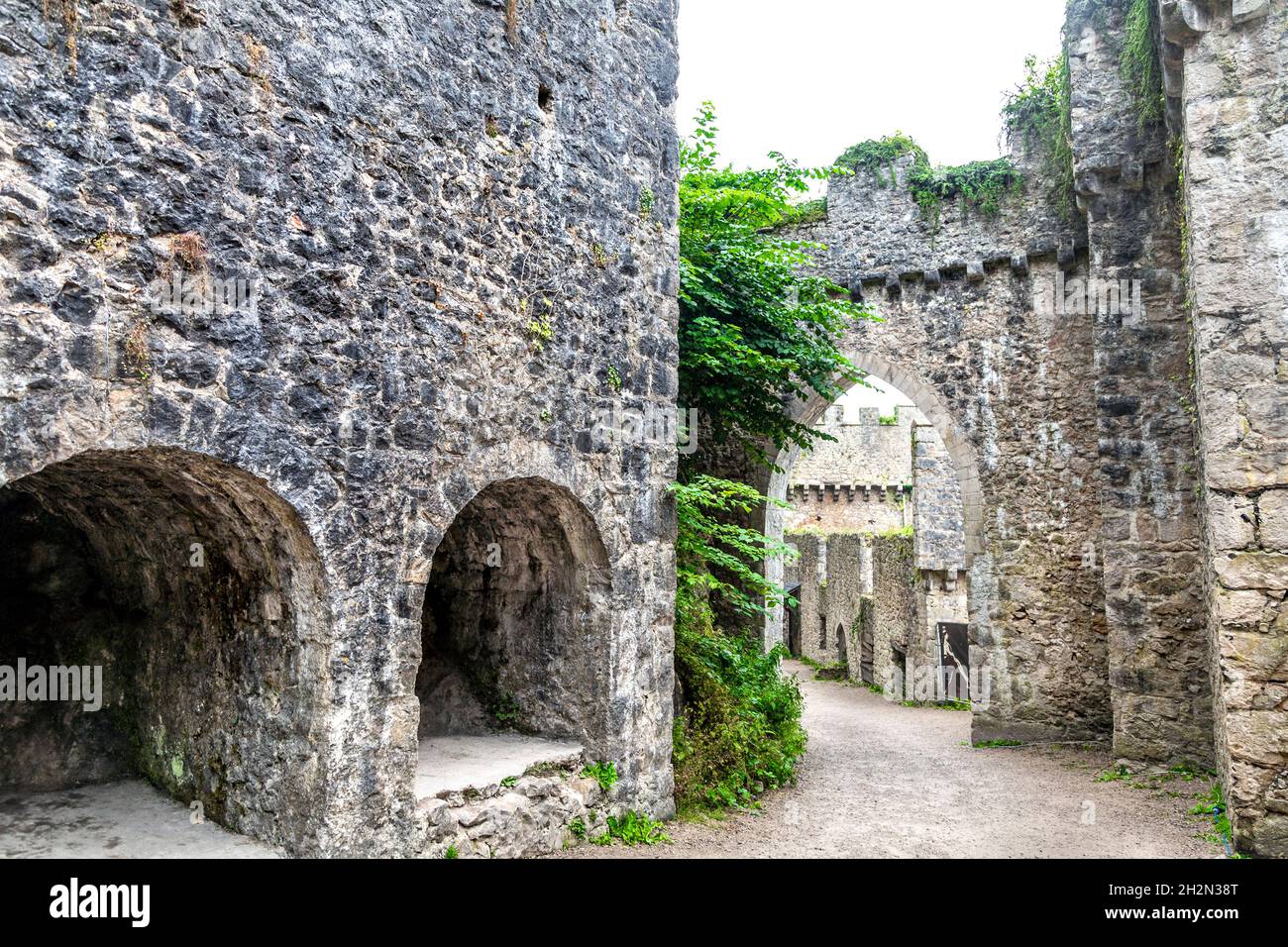 Ruines de style médiéval Château de Gwrych construit au XIXe siècle, Abergele, pays de Galles, Royaume-Uni Banque D'Images