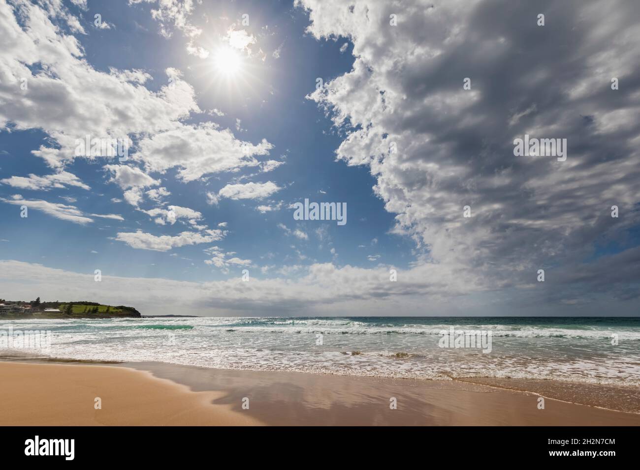La flore régale dans la forêt à moitié brûlée du parc national de Murramarang Banque D'Images