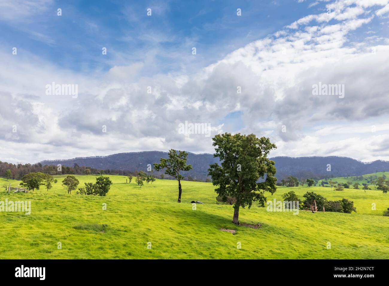 Paysage estival pittoresque le long de Princes Highway Banque D'Images