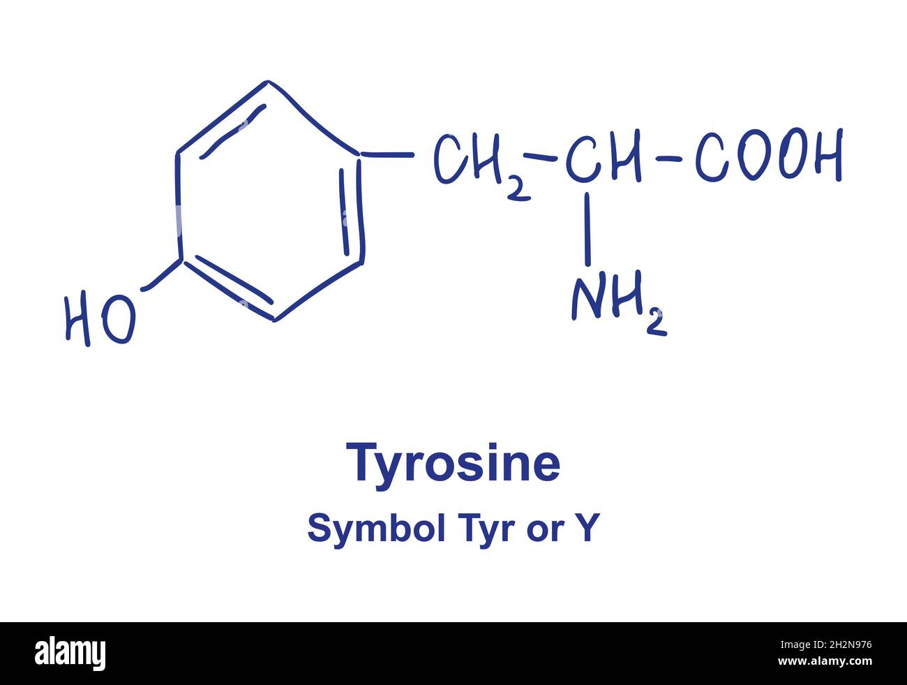 Structure chimique de tyrosine.Illustration vectorielle dessinée à la main Illustration de Vecteur