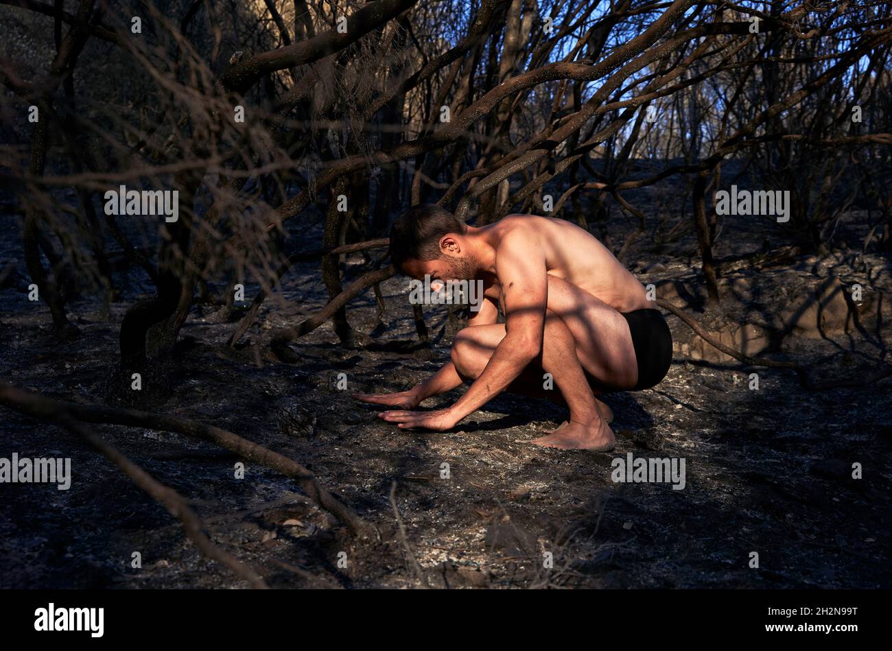 Homme touchant le sol de la forêt brûlée Banque D'Images