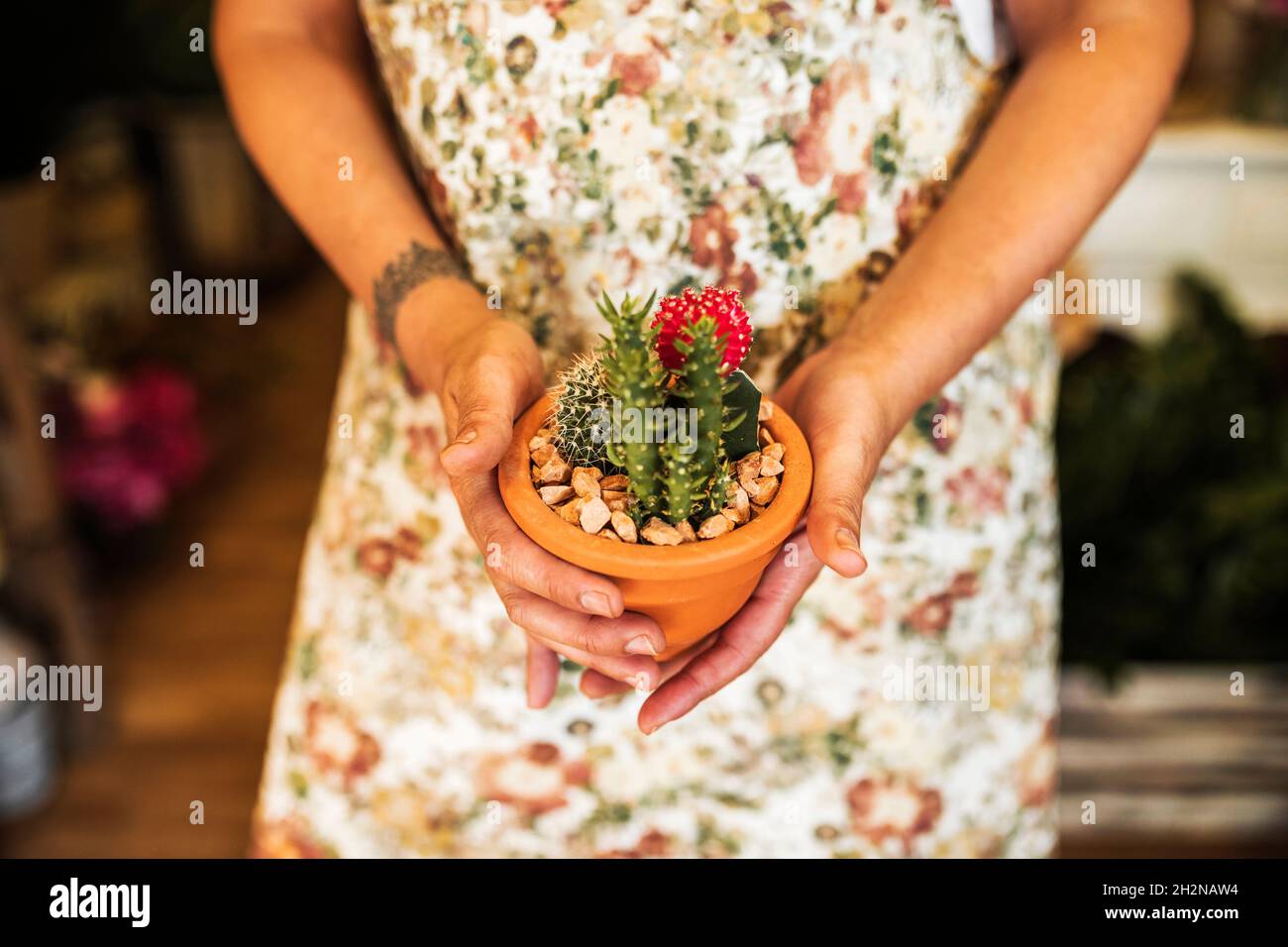 Fleuriste blonde de sexe féminin organisant une plante sur un présentoir dans un fleuriste Banque D'Images