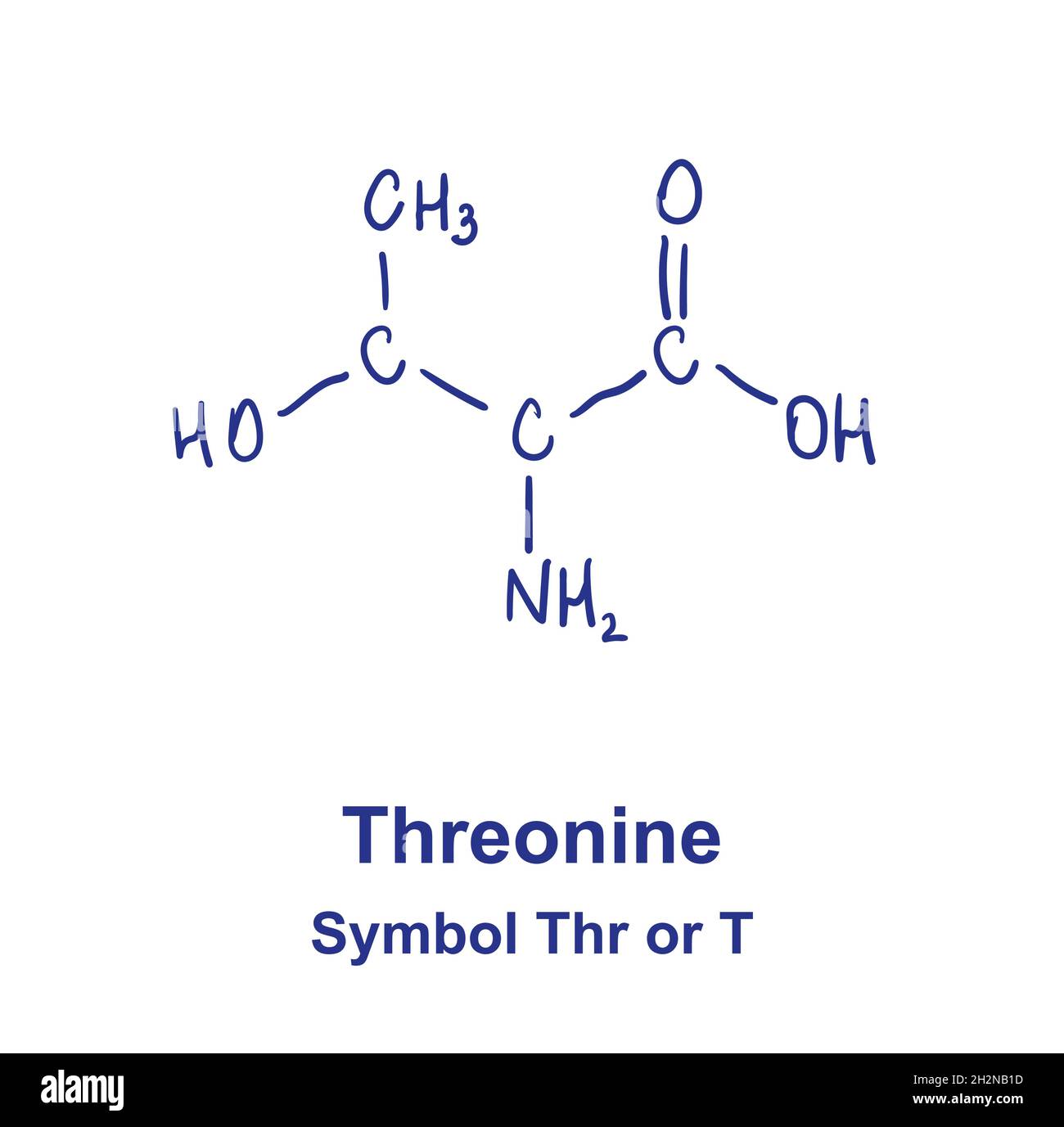 Structure chimique de la thréonine.Illustration vectorielle dessinée à la main. Illustration de Vecteur