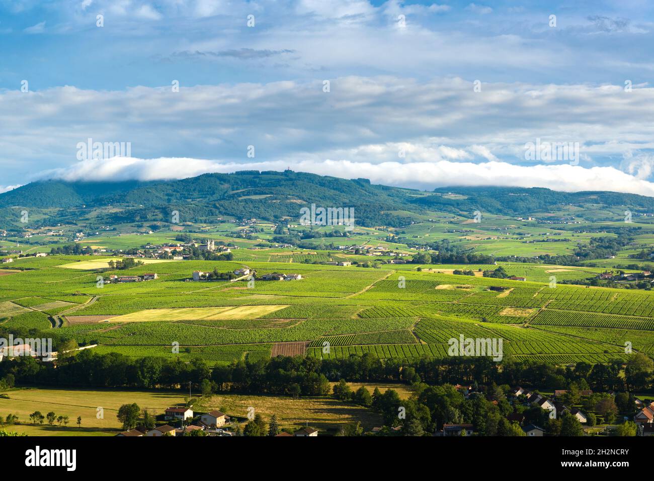 Le village de Régnié-Durette et ses vignes avoisinantes, Beaujolais, France Banque D'Images