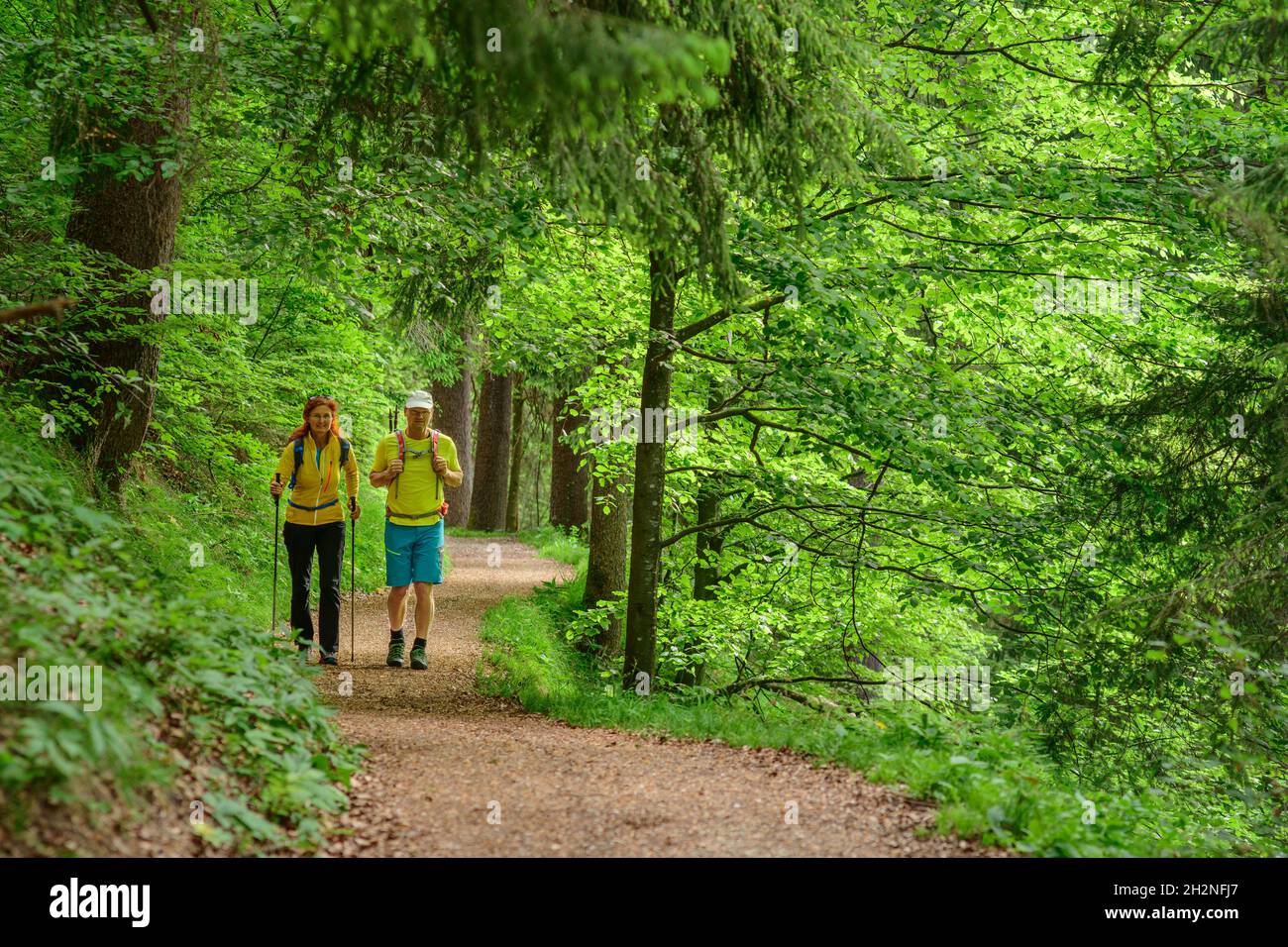Randonneurs mâles et femelles marchant sur un sentier dans la forêt Banque D'Images