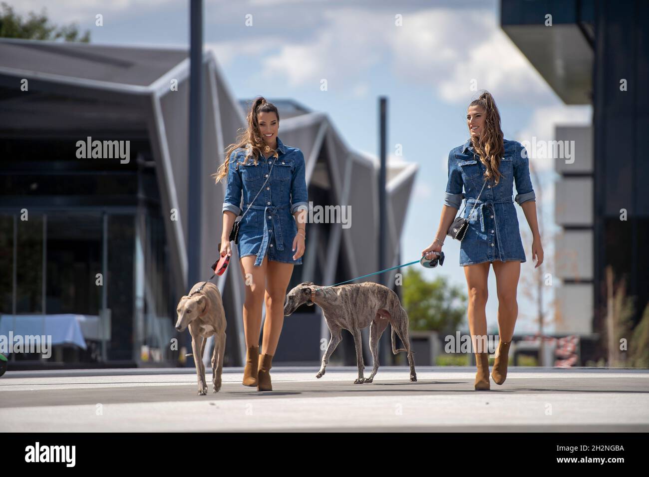 Femmes jumeaux identiques marchant avec des chiens sur la route Banque D'Images