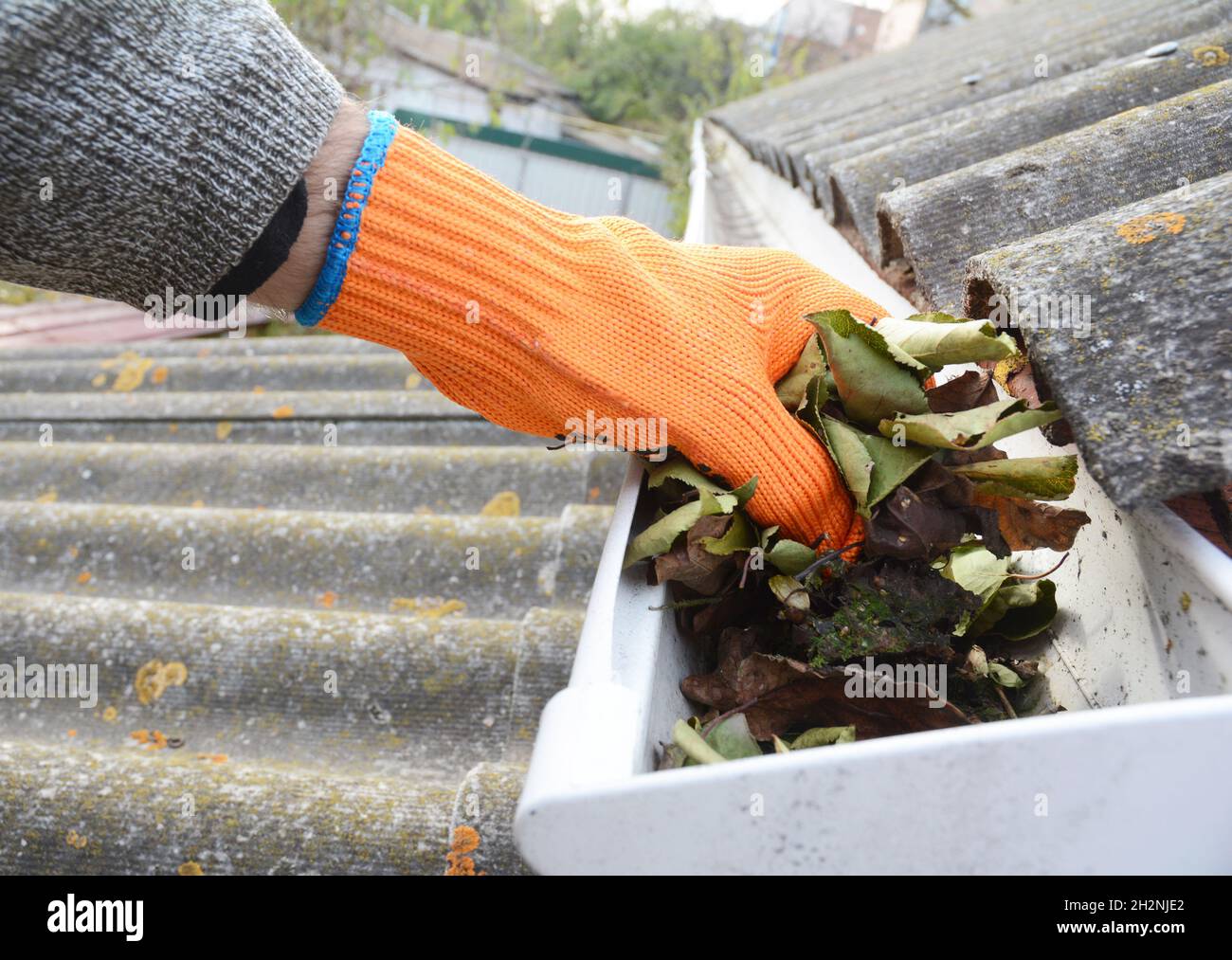 Gouttière nettoyage des feuilles à la main en automne.Conseils de nettoyage de la gouttière de toit.Nettoyez vos gouttières avant qu'elles ne nettoient votre portefeuille.Nettoyage des gouttières Banque D'Images