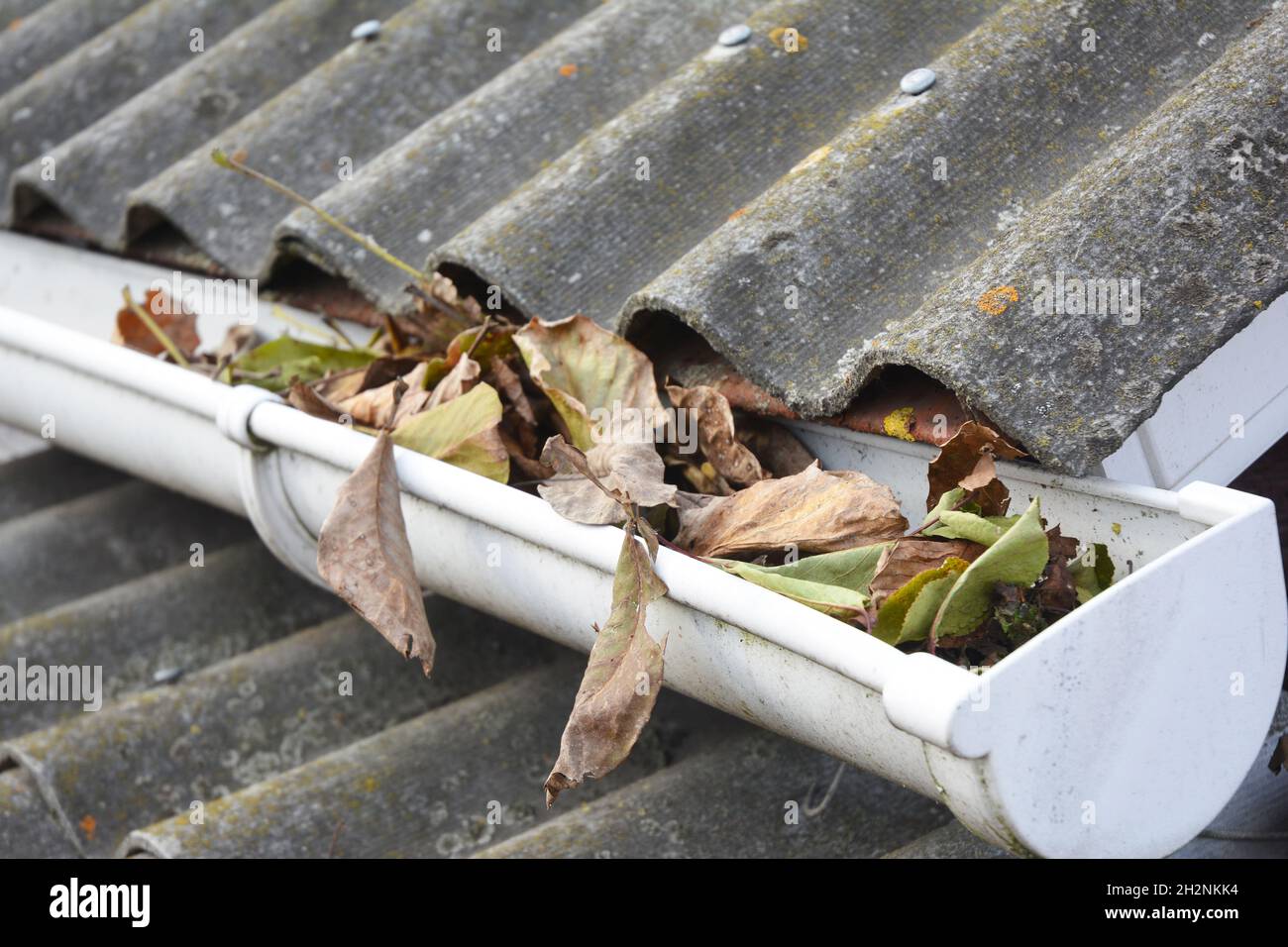 Gouttière nettoyage des feuilles en automne.Feuilles et saleté dans le gouttière. Banque D'Images
