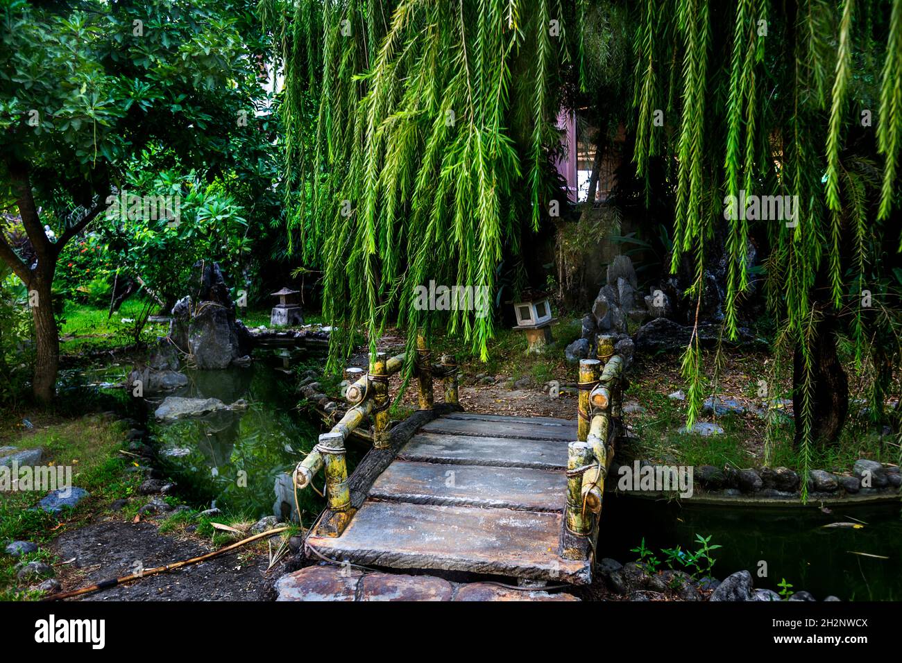 Un petit pont en bois dans une épaisse zone forestière traversant une petite crique à Hue. Banque D'Images