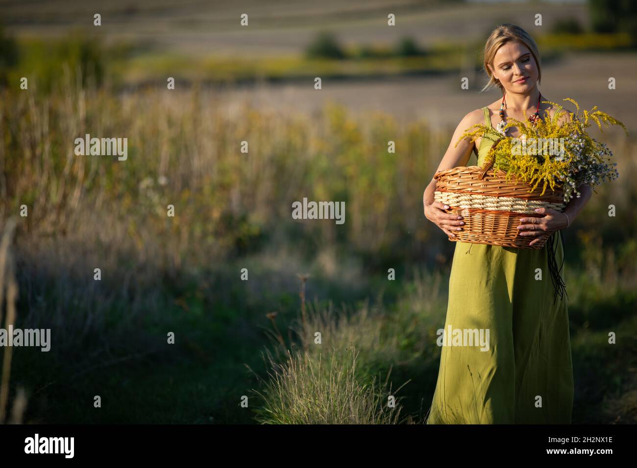 Un jeune herboriste attrayant tient un panier d'herbes en osier.Goldenrod et fleur d'hiver commune. Banque D'Images