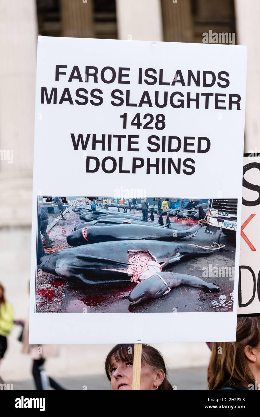 Londres, Royaume-Uni.16 octobre 2021.Des militants des droits des animaux protestent sur la place Trafalgar contre l'abattage des cétacés dans les îles Taiji et Féroé Banque D'Images