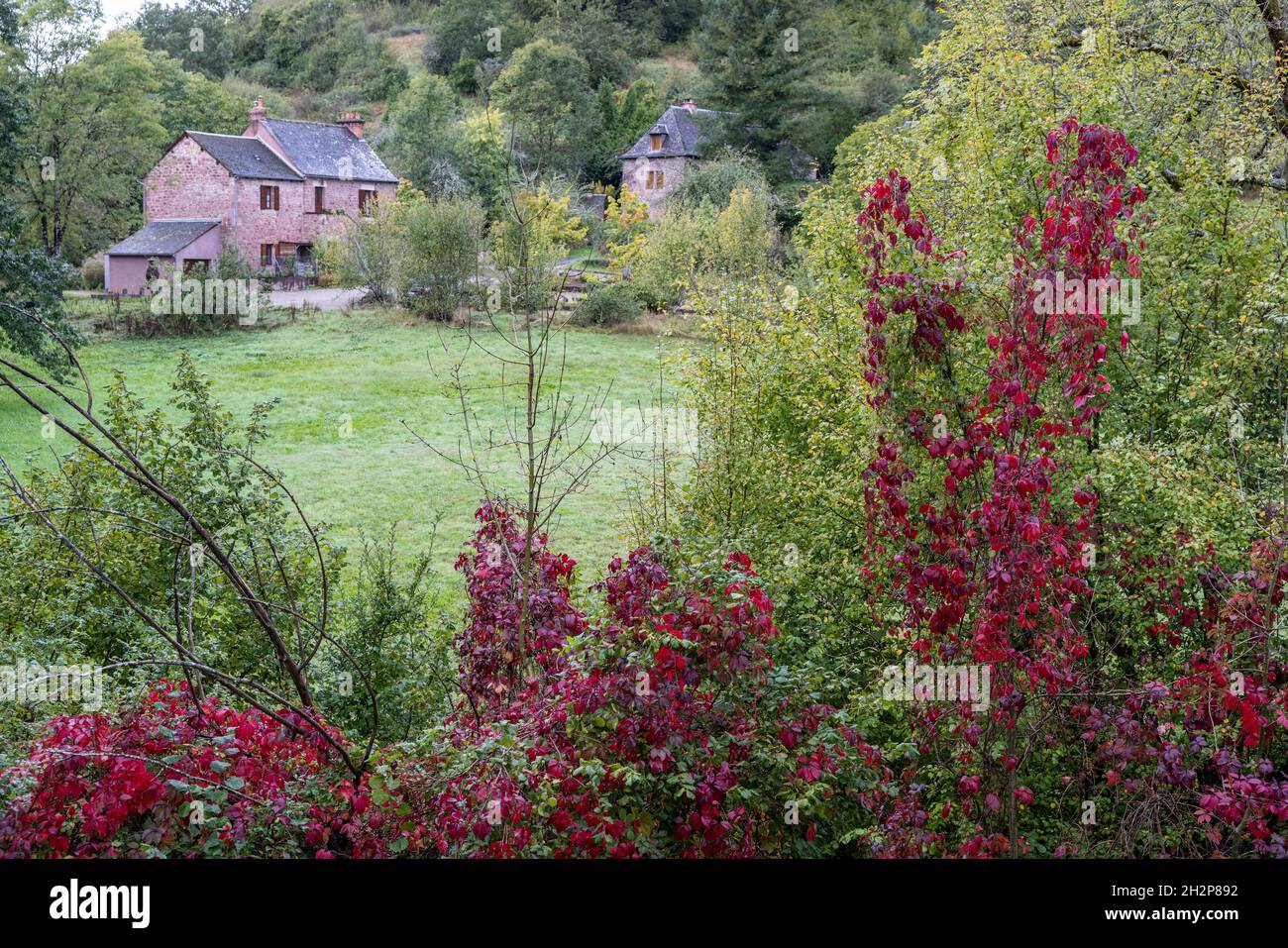 Maisons en pierre près de l'église romane Saint-Pierre-de-Bessuejouls, Bessuejouls, France Banque D'Images
