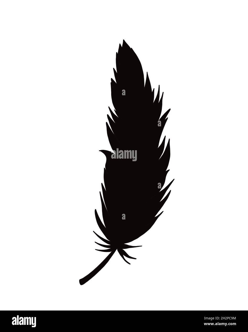 silhouette de plumes d'oiseau Banque D'Images