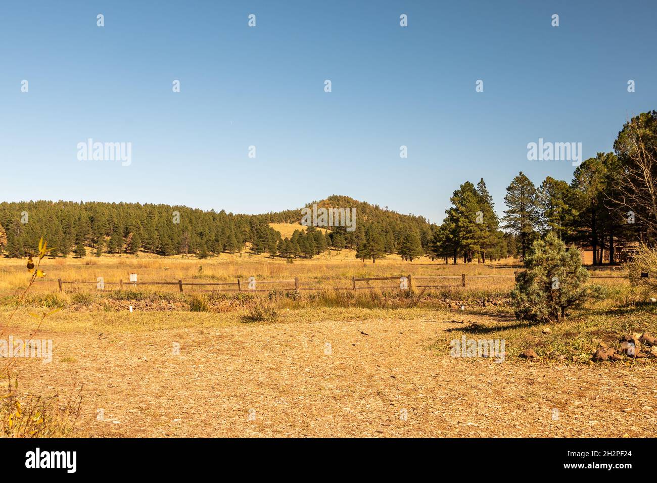 Paysage du nord de l'Arizona avec pâturage, clôture et arbres. Banque D'Images