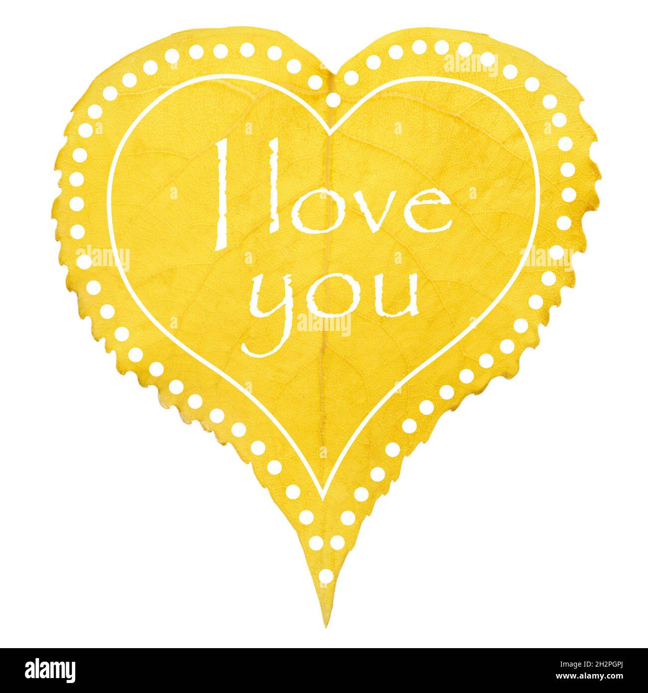 Coeur formé par une feuille d'arbre jaune décorée de 'Je t'aime' écrit en  anglais Photo Stock - Alamy