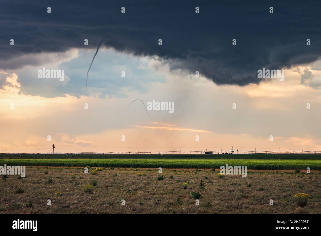 Tornado corde au-dessus d'un champ près du Soudan, Texas Banque D'Images